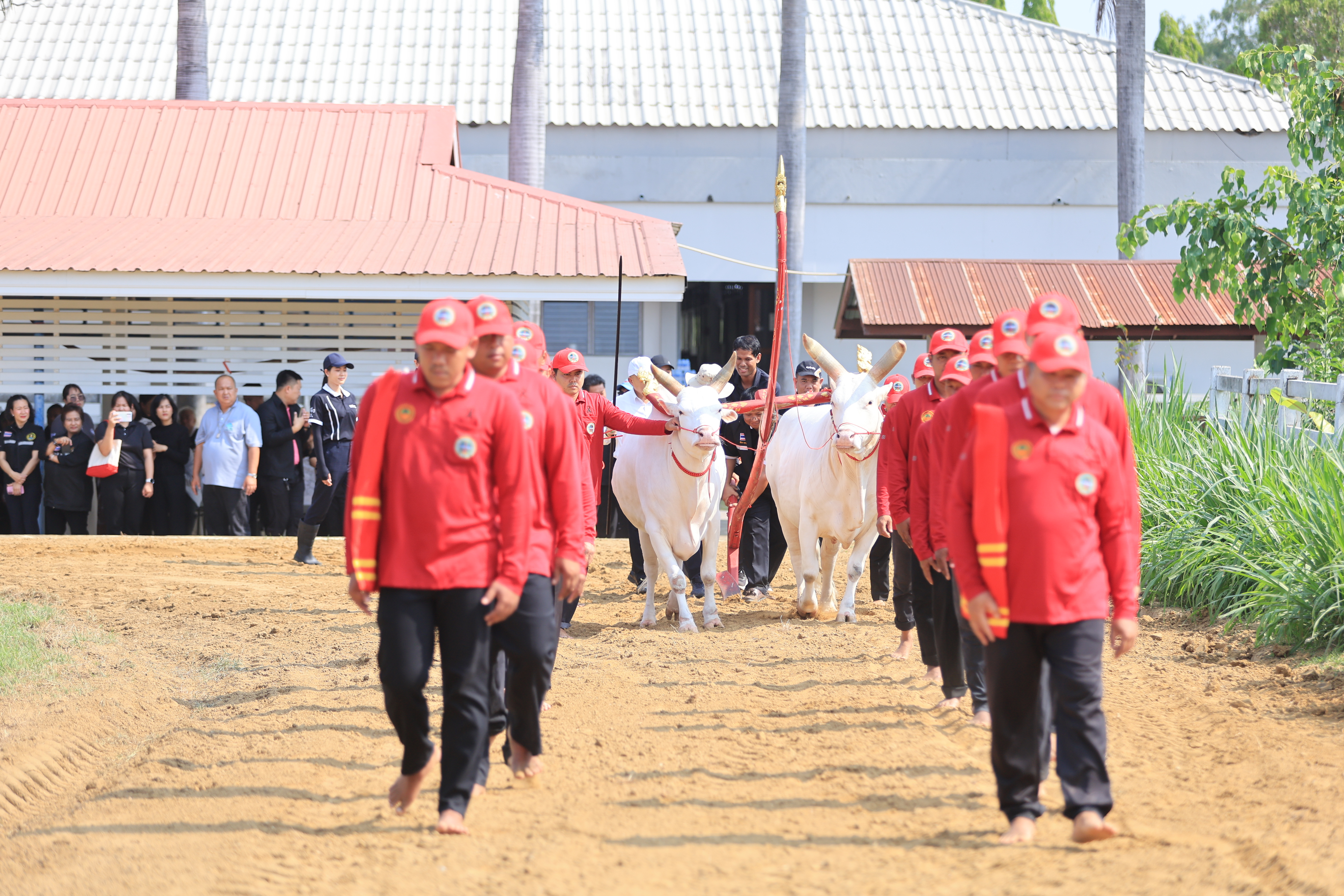 title - ส.ป.ก. เข้าร่วมการตรวจเยี่ยมการจัดเตรียมพระโค ในงานพระราชพิธีพืชมงคลจรดพระนังคัลแรกนาขวัญ ประจำปี 2569